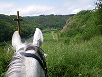 cavale-du-malzieu-cirque-de-paladines-margeride-petit