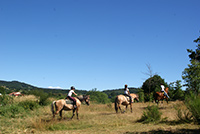 cavale-du-malzieu-sortie-truyere-petit