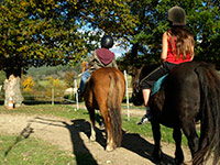 cavale-du-malzieu-cours-poney-petit