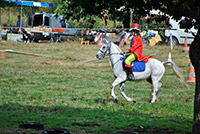 cavale-du-malzieu-fete-du-cheval-petit1