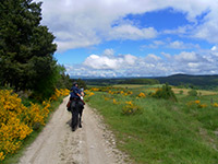 cavale-du-malzieu-rando-margeride-petit