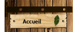 bouton-accueil