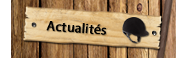 bouton-actualites